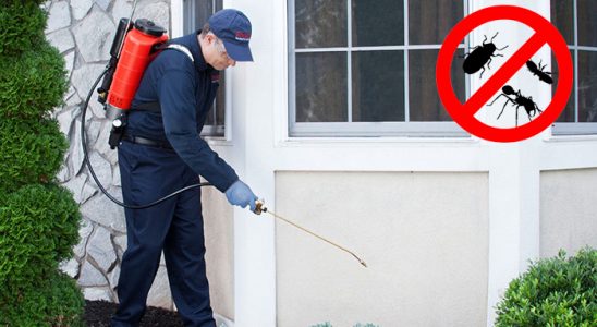 Balıkesir Kemirgen İlaçlama böcek ilaçlama ve haşere kontrolü — ilaclama-tr.com